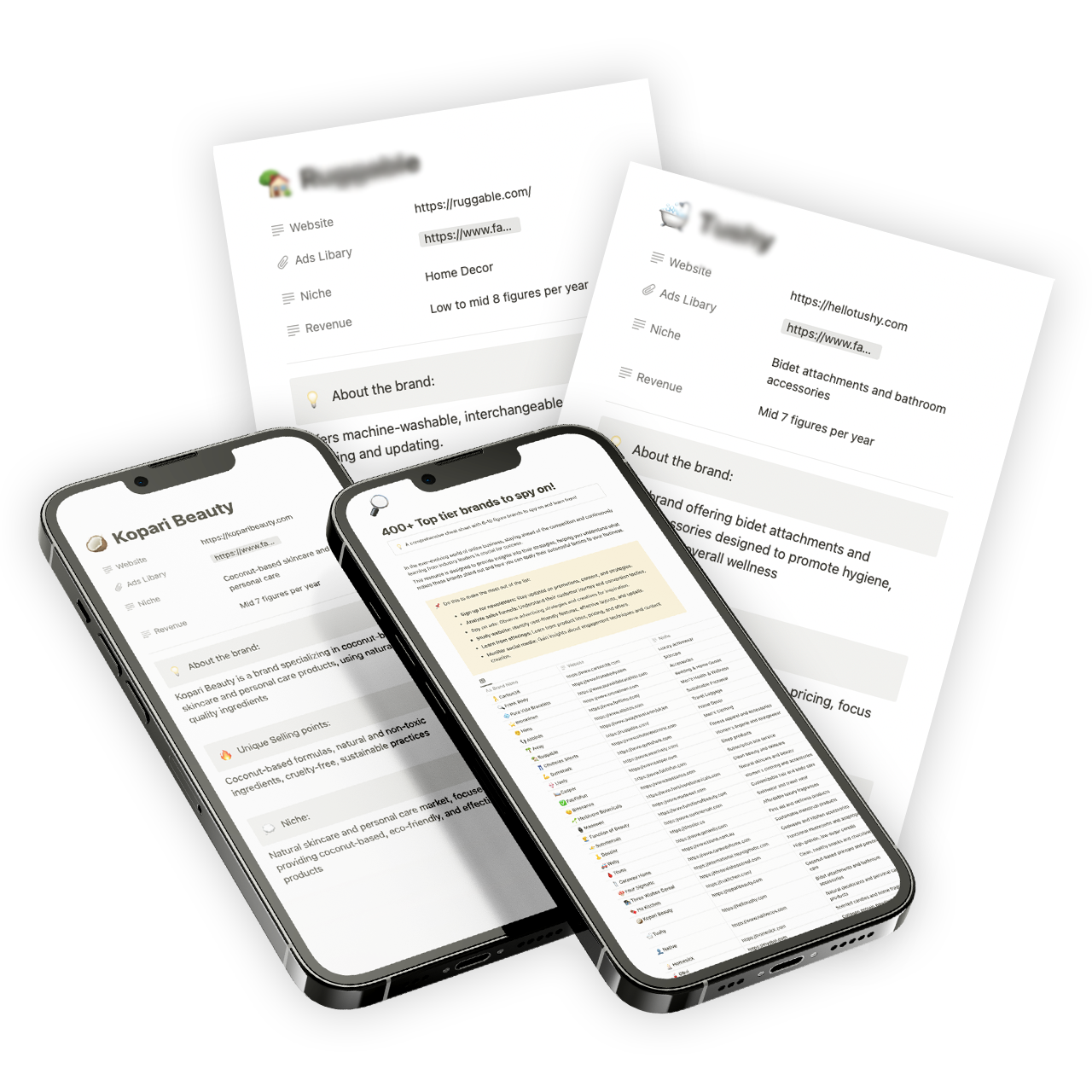 400+ eCom Brands to Spy on